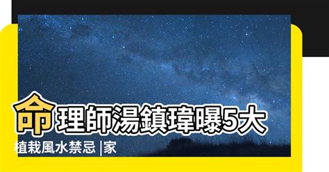 九重葛 風水|【家裡可以種九重葛嗎】家裡不能種九重葛？風水禁忌看這裡